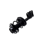 Suspension Strut and Coil Spring Assembly LS34-86941L