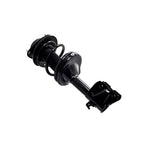Suspension Strut and Coil Spring Assembly LS34-86941R