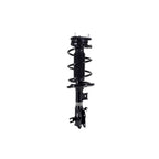 Suspension Strut and Coil Spring Assembly LS34-86961L