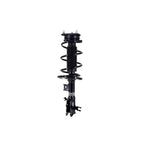 Suspension Strut and Coil Spring Assembly LS34-86961R