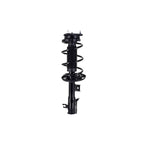 Suspension Strut and Coil Spring Assembly LS34-86961R