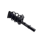 Suspension Strut and Coil Spring Assembly LS34-86981R