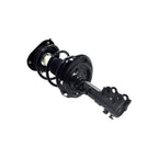 Suspension Strut and Coil Spring Assembly LS34-87011L