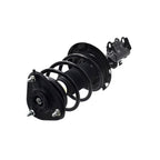 Suspension Strut and Coil Spring Assembly LS34-87011L