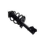 Suspension Strut and Coil Spring Assembly LS34-87021R