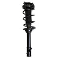Loaded Strut Assembly LS53-90012R