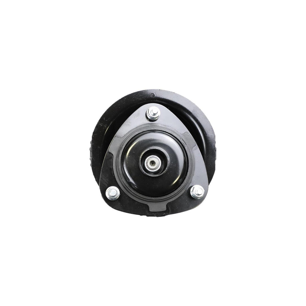 Loaded Strut Assembly LS53-90012R