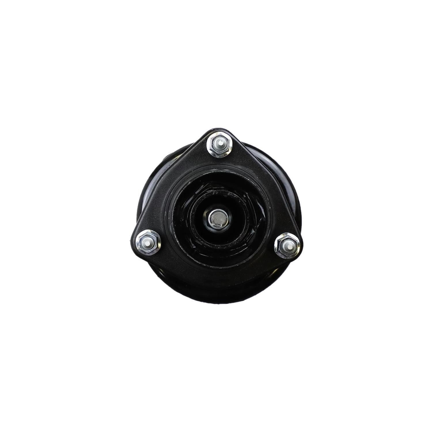 Loaded Strut Assembly LS53-90022L