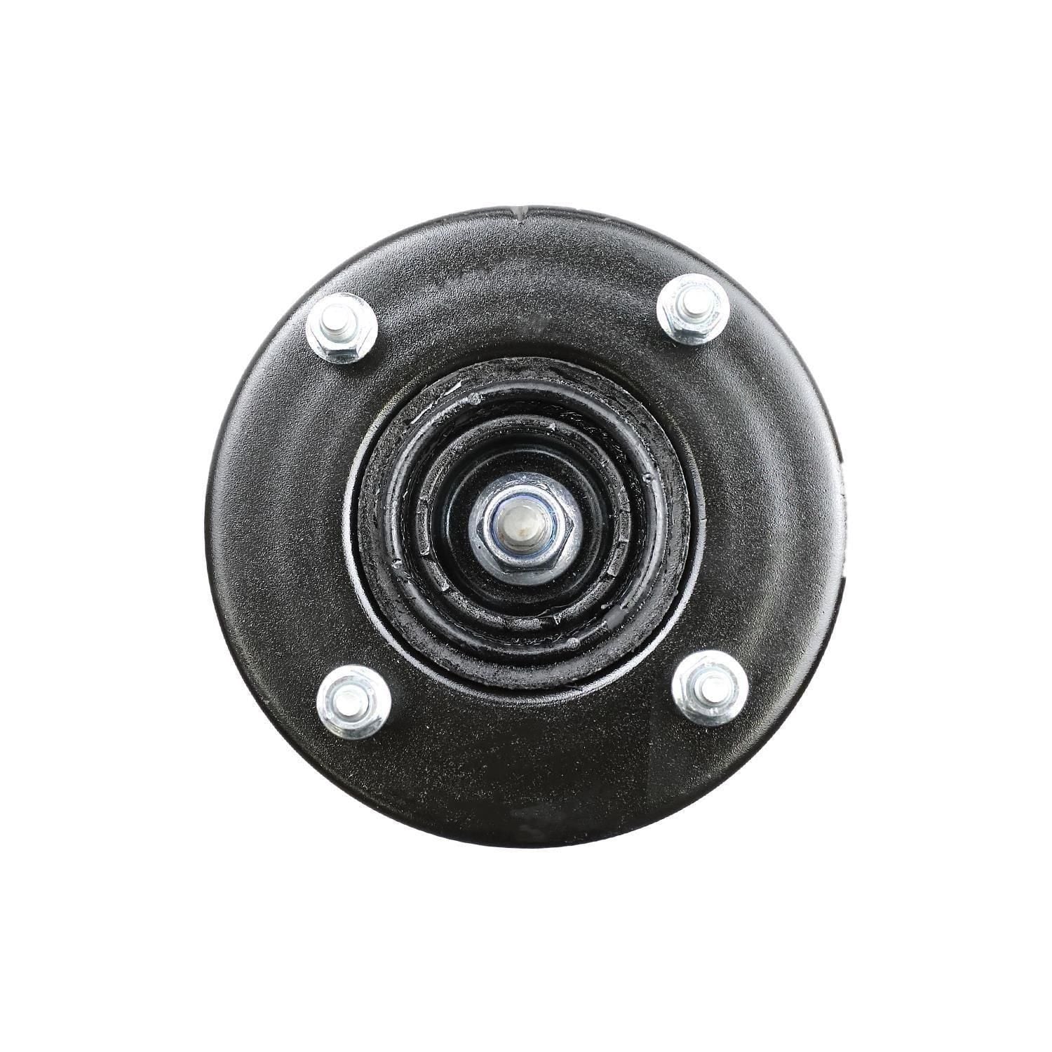Loaded Strut Assembly LS53-90031L