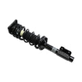Loaded Strut Assembly LS53-90082B