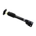 Loaded Strut Assembly LS53-90092B