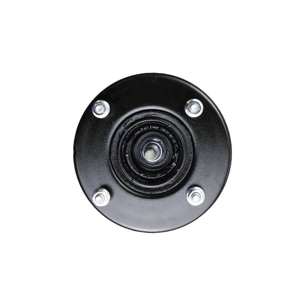Suspension Strut and Coil Spring Assembly LS53-90161L