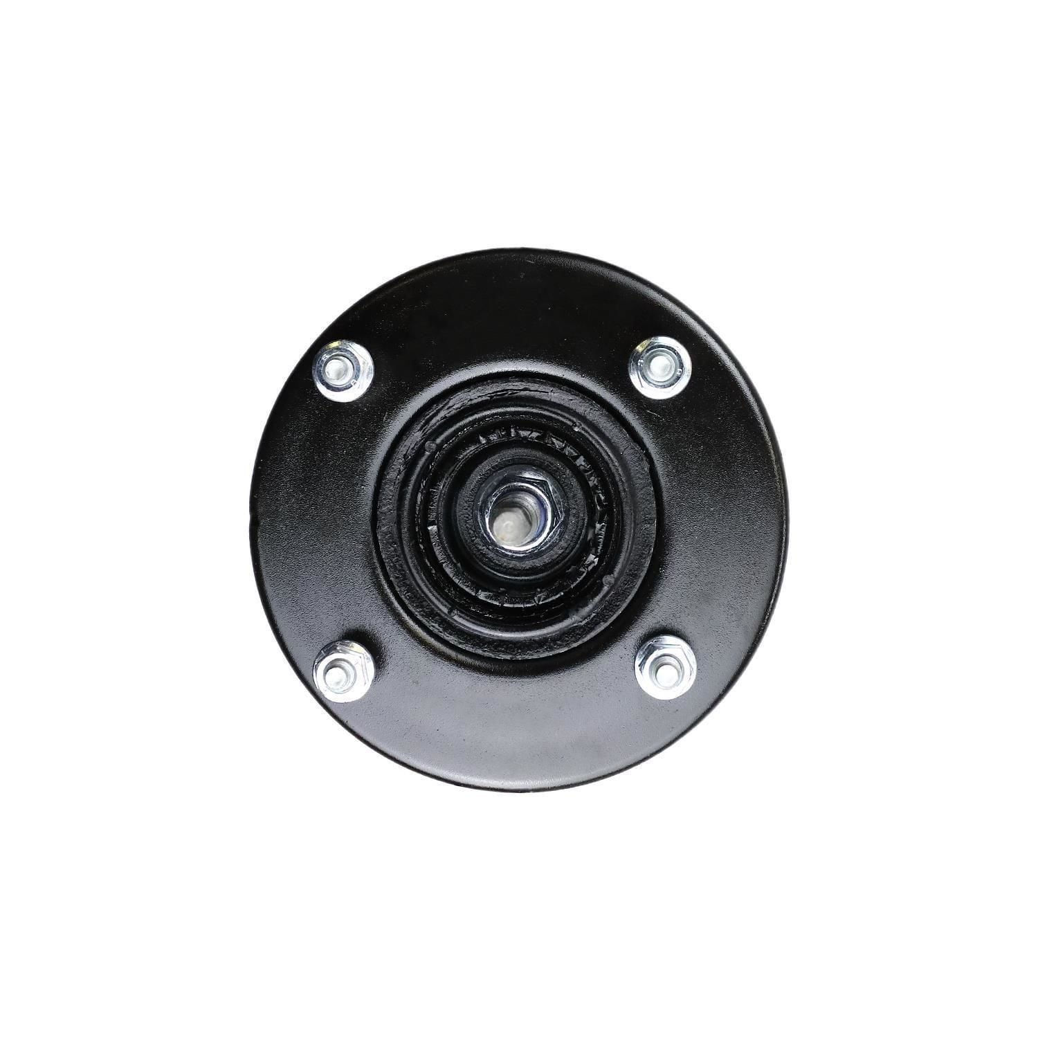 Suspension Strut and Coil Spring Assembly LS53-90161L