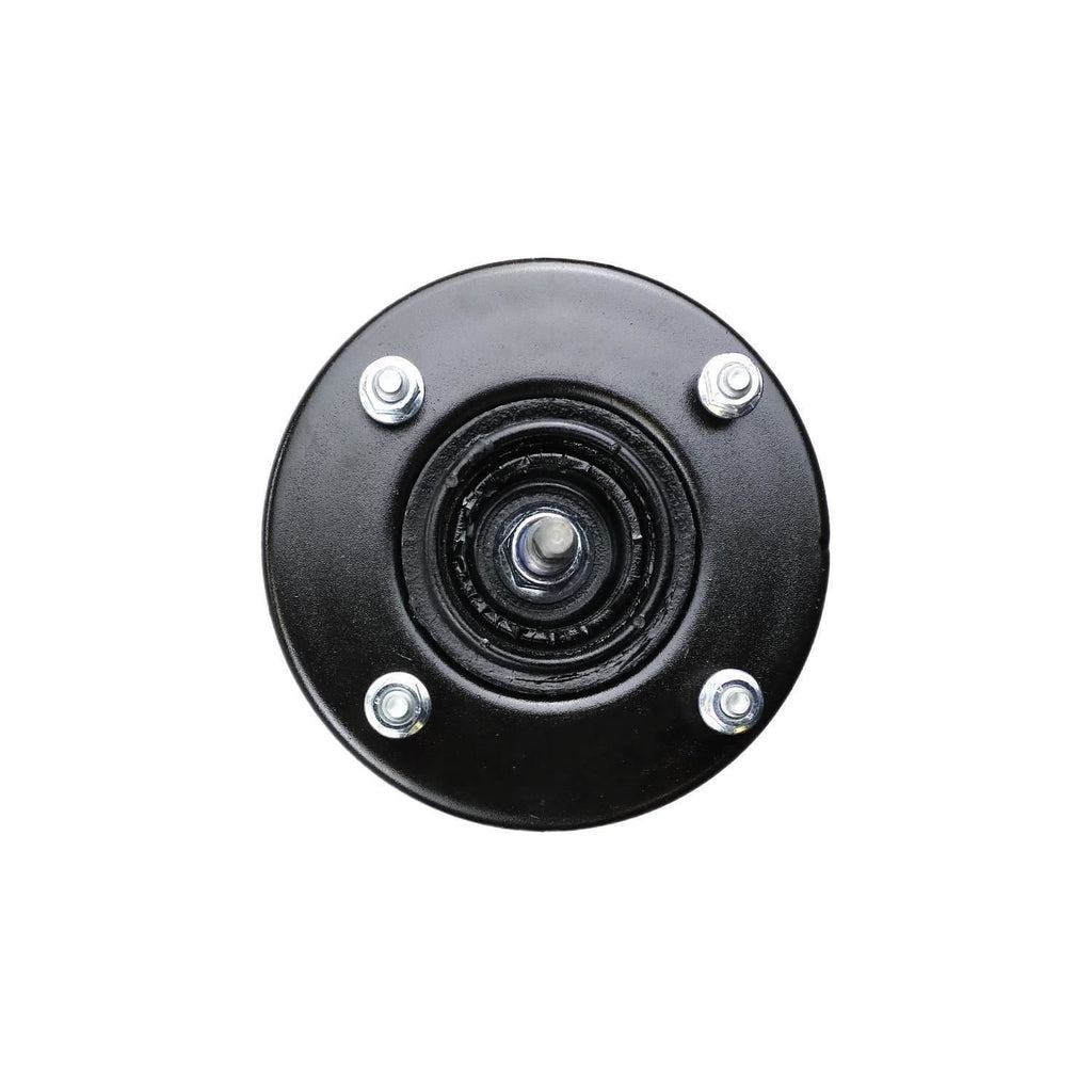 Suspension Strut and Coil Spring Assembly LS53-90161R