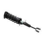 Suspension Strut and Coil Spring Assembly LS53-90191R