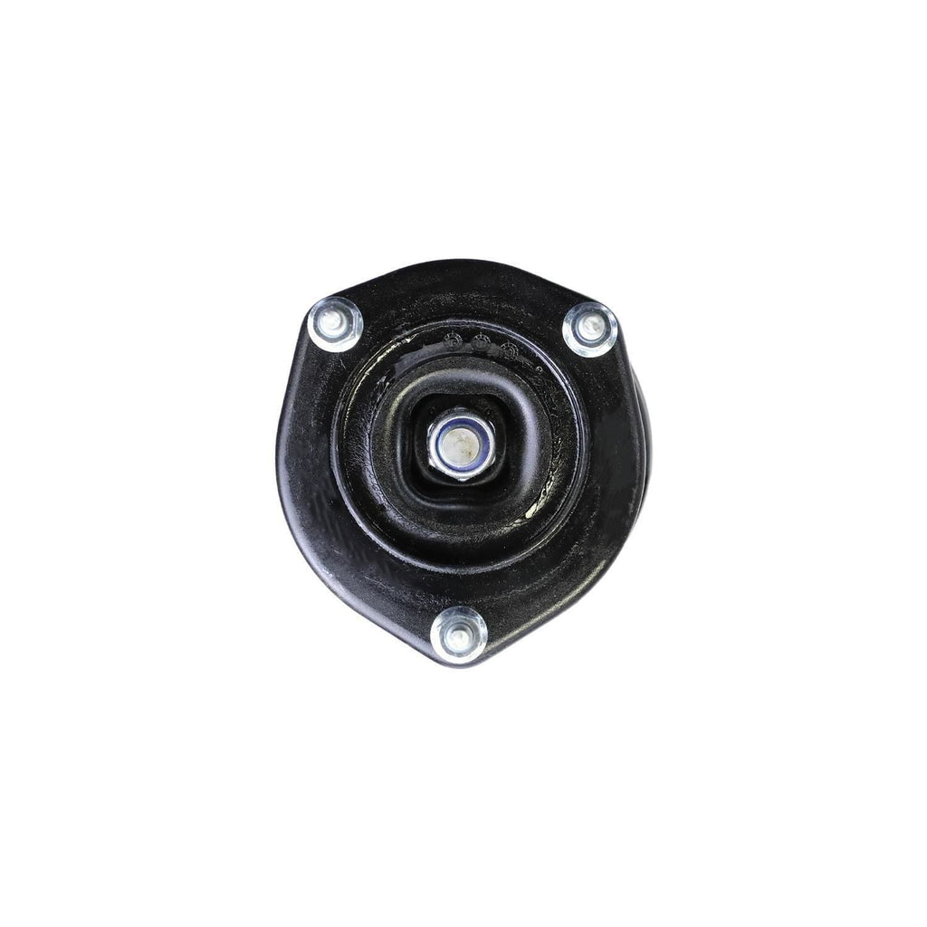 Suspension Strut and Coil Spring Assembly LS53-90241R