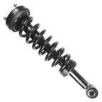 Suspension Strut and Coil Spring Assembly LS53-90281B