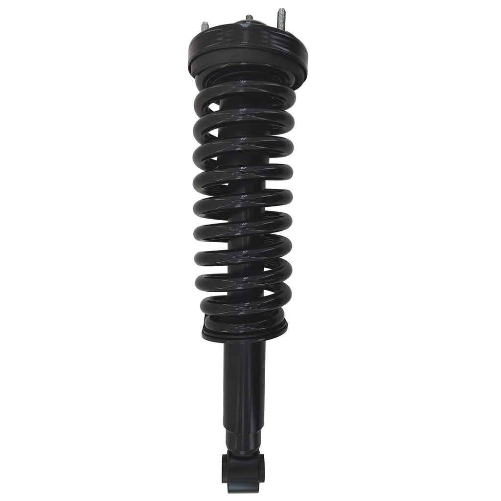 Gold Strut LS53-90401BG