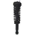 Gold Strut LS53-90401BG