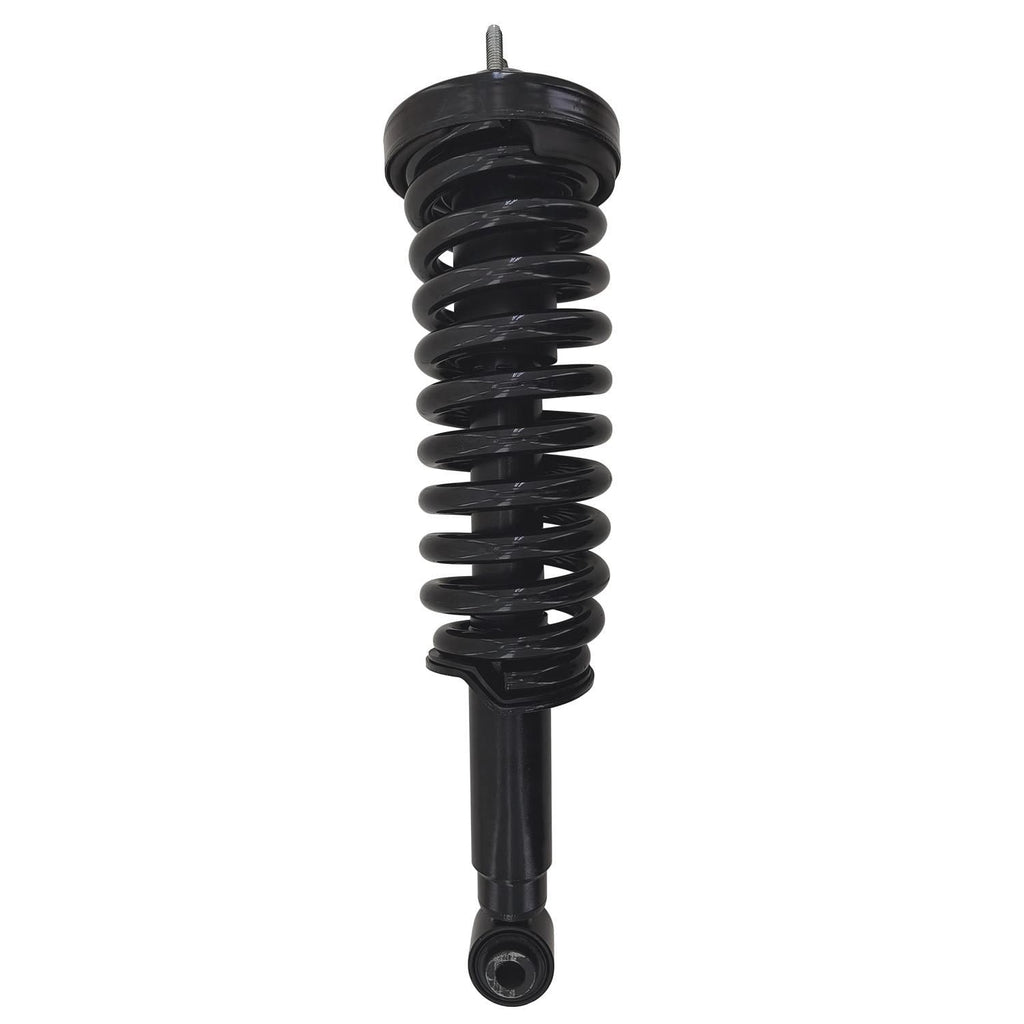 Gold Strut LS53-90401BG