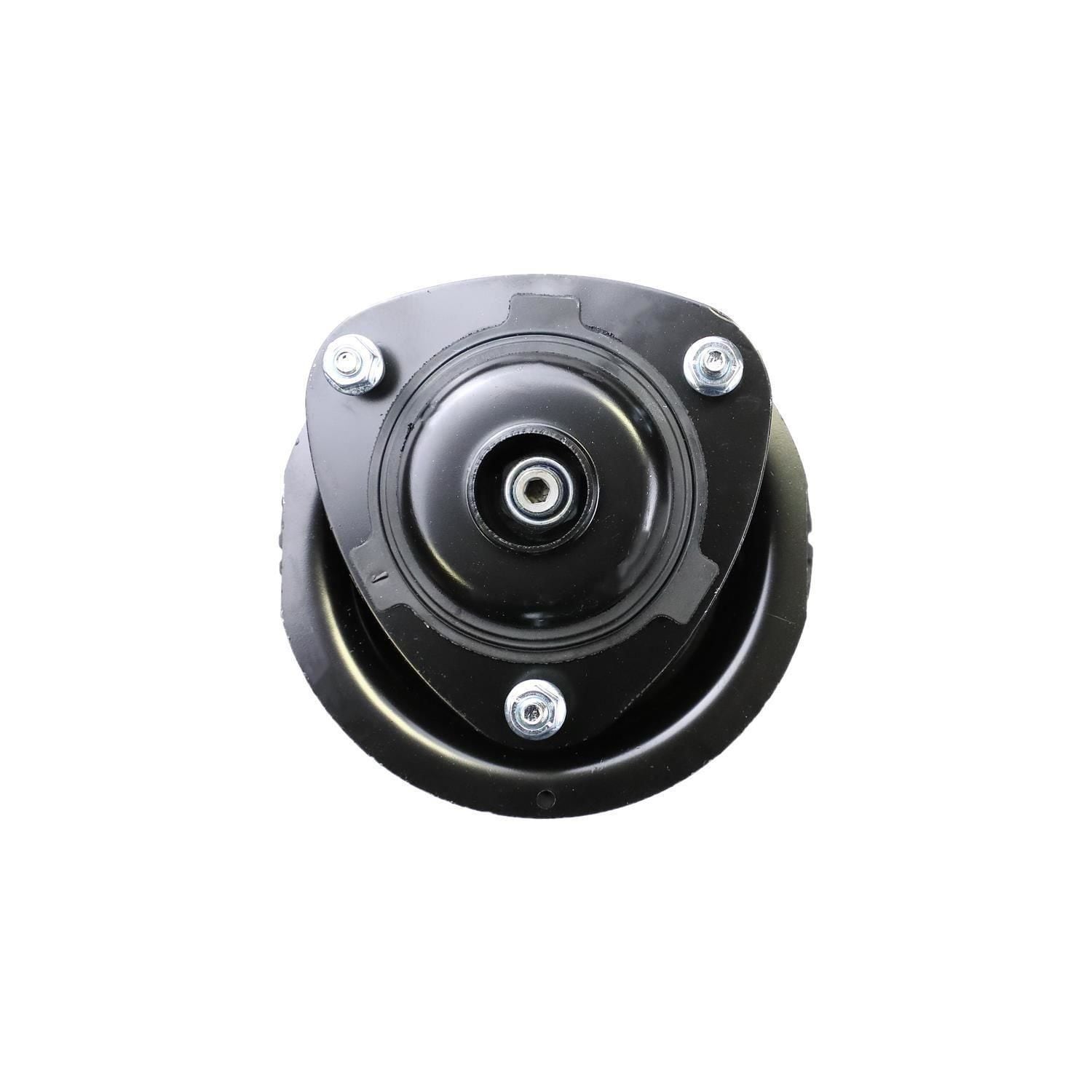 Loaded Strut Assembly LS53-90452R