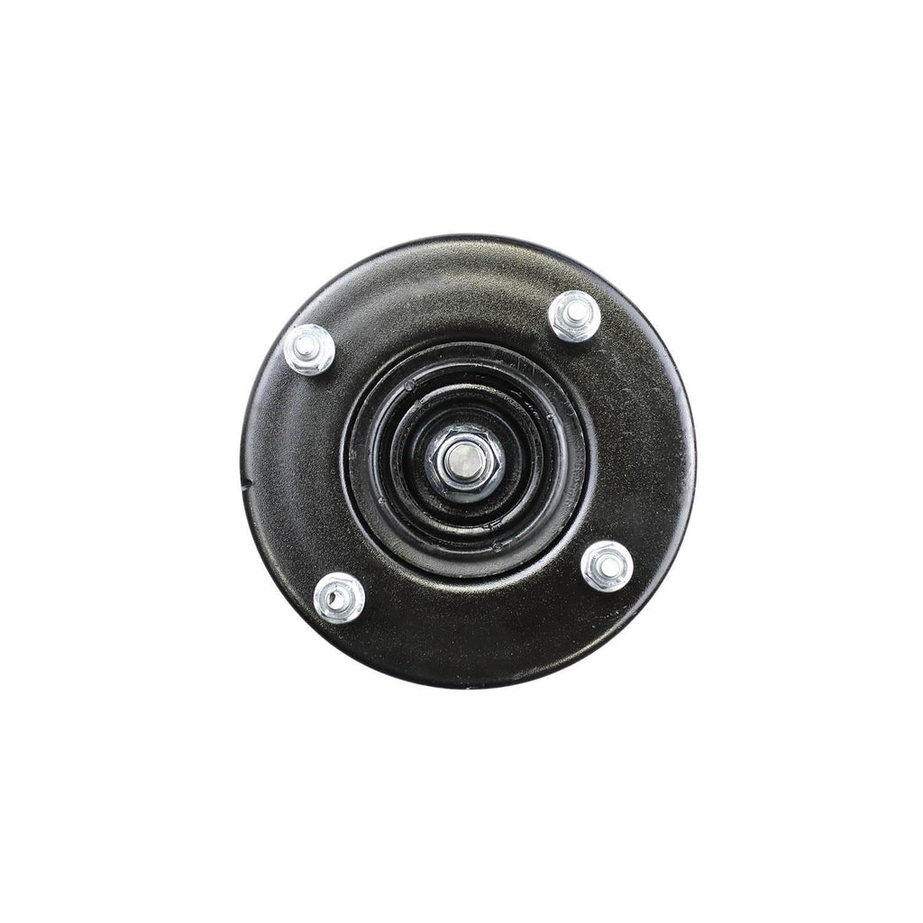 Suspension Strut and Coil Spring Assembly LS53-90471R