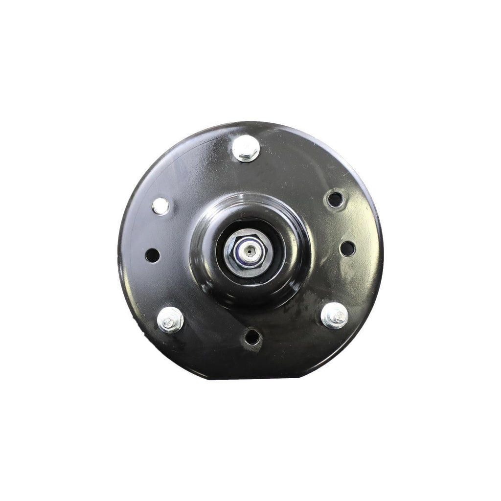 Suspension Strut and Coil Spring Assembly LS53-90491L