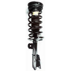 Suspension Strut and Coil Spring Assembly LS53-90491R