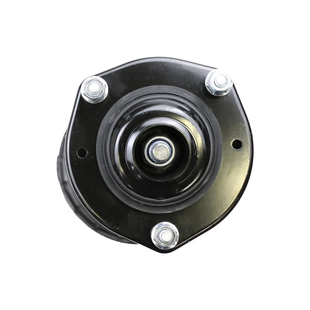 Loaded Strut Assembly LS53-90532L