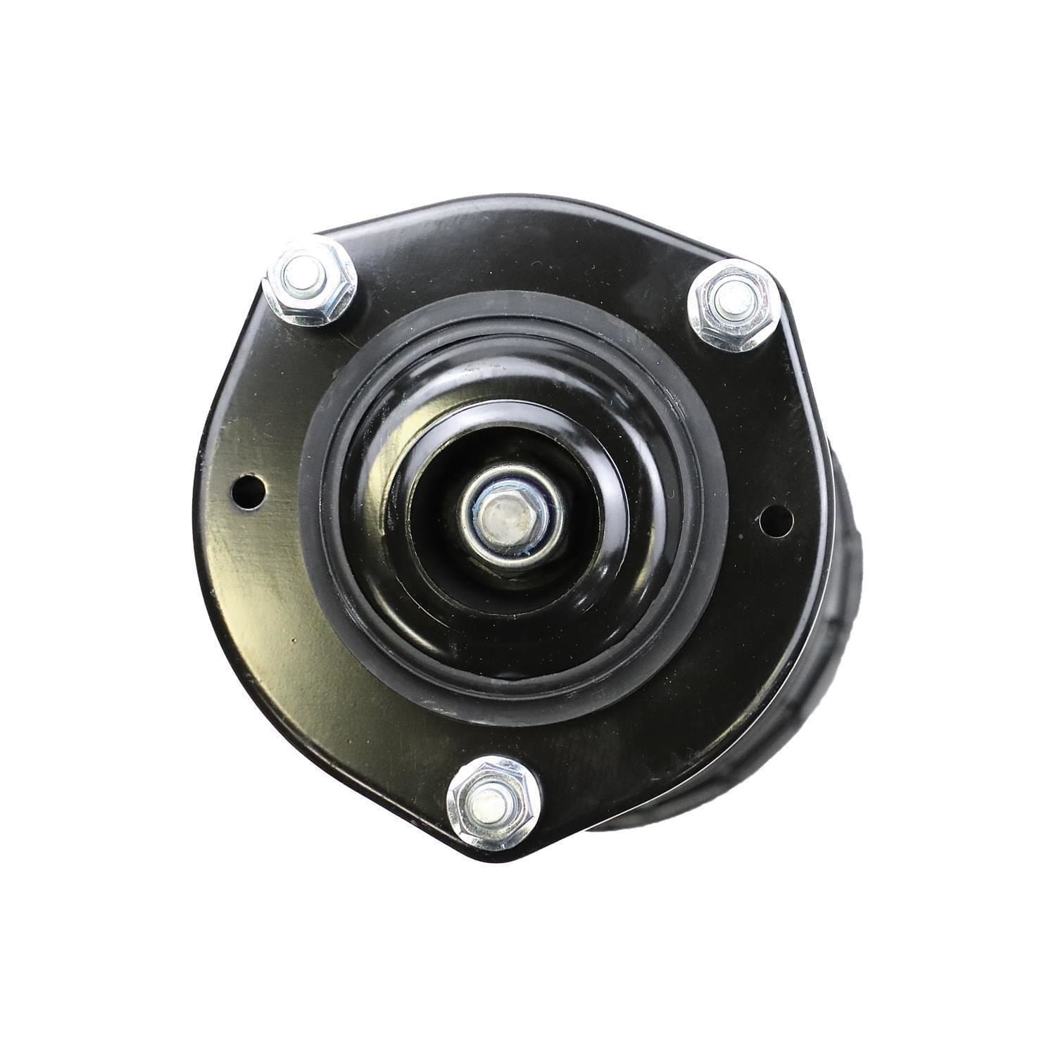 Loaded Strut Assembly LS53-90532R