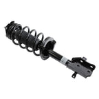 Suspension Strut and Coil Spring Assembly LS53-90571R