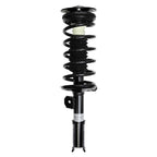 Suspension Strut and Coil Spring Assembly LS53-90781R