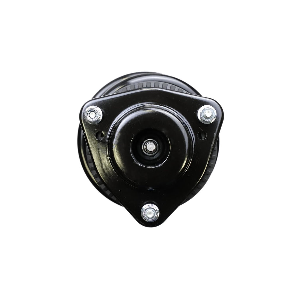 Suspension Strut and Coil Spring Assembly LS53-90971R