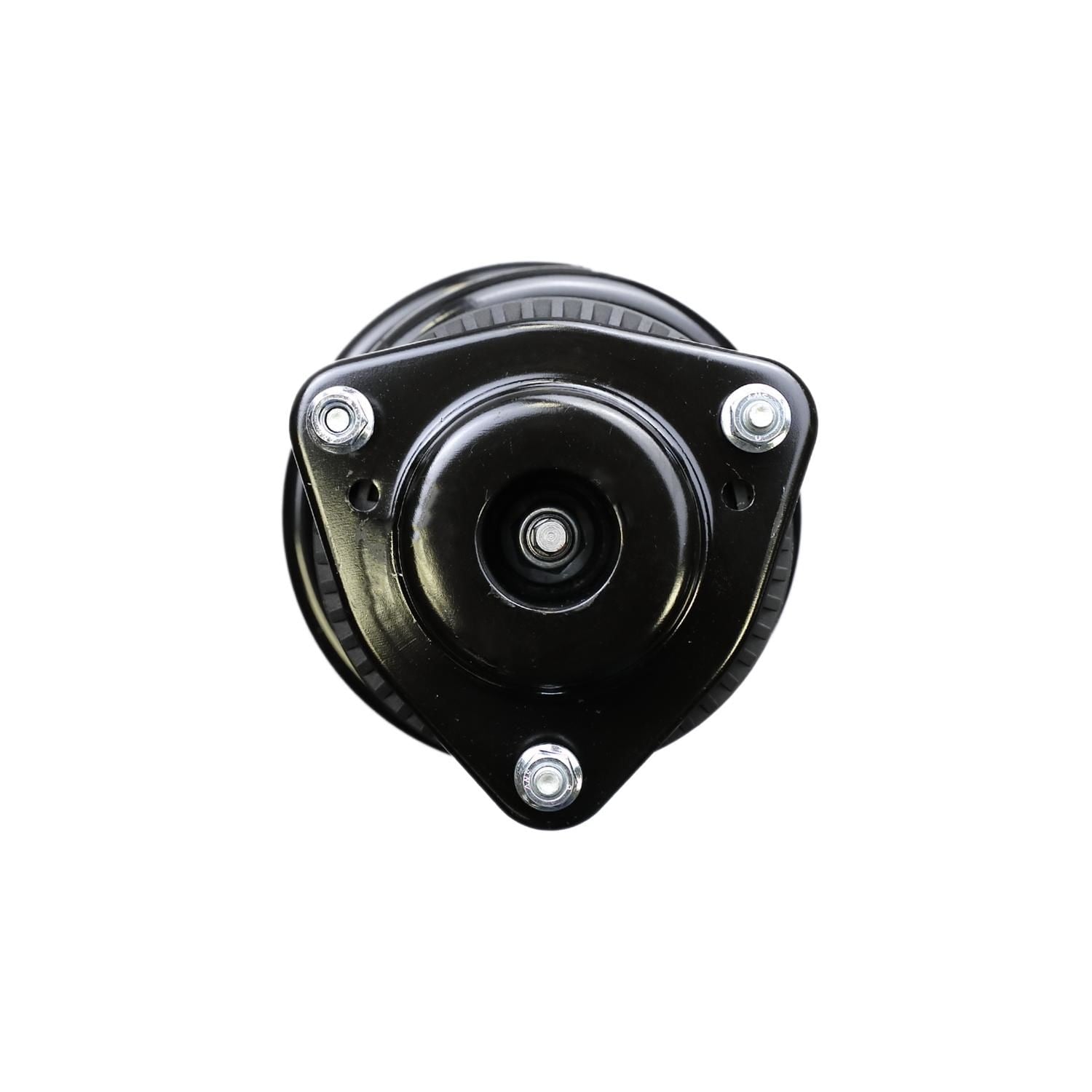 Suspension Strut and Coil Spring Assembly LS53-90971R