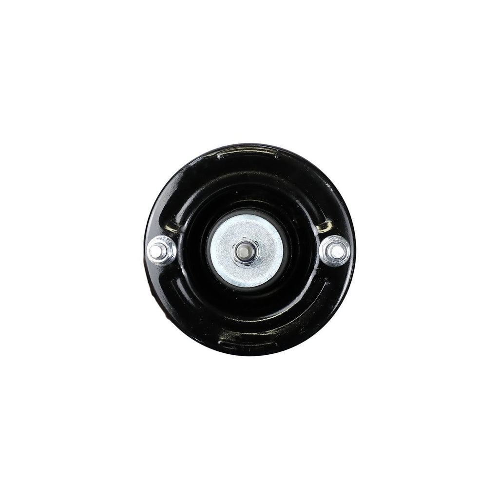 Loaded Strut Assembly LS53-91012B