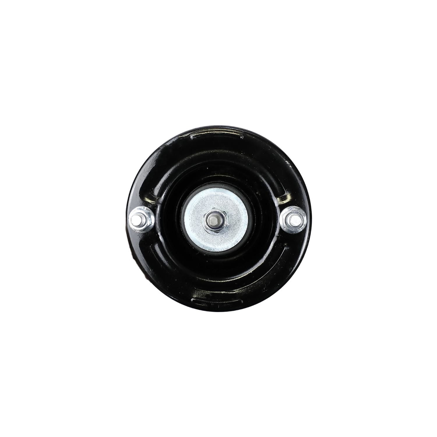 Loaded Strut Assembly LS53-91012B
