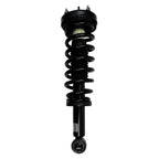 Suspension Strut and Coil Spring Assembly LS53-91041L