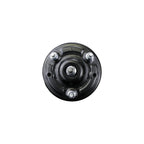 Suspension Strut and Coil Spring Assembly LS53-91041L