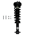 Suspension Strut and Coil Spring Assembly LS53-91041R