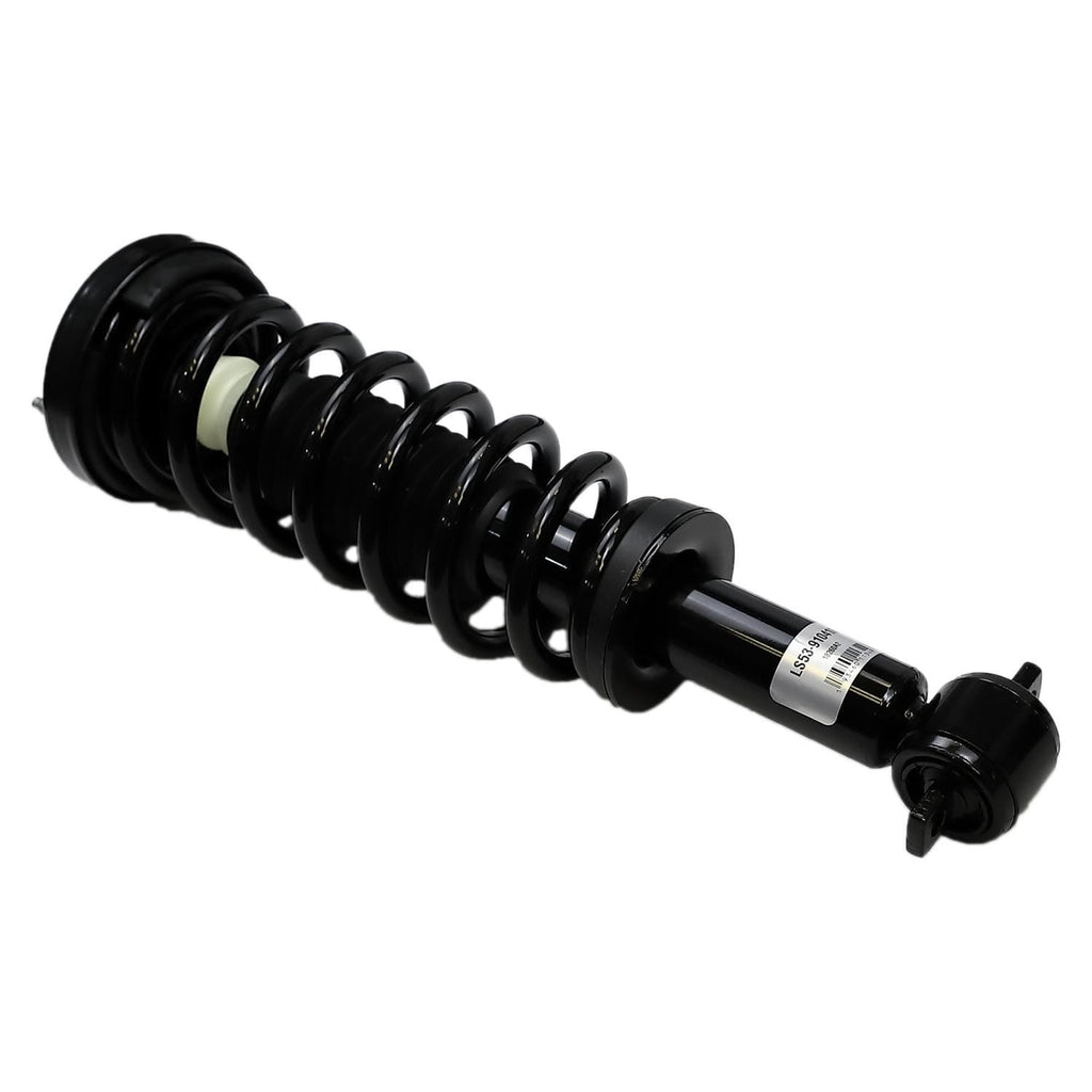 Suspension Strut and Coil Spring Assembly LS53-91041R