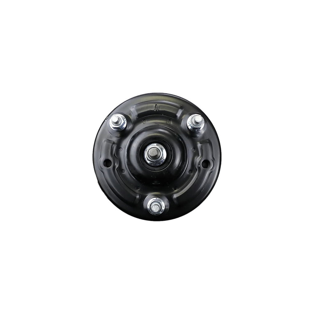 Suspension Strut and Coil Spring Assembly LS53-91041R