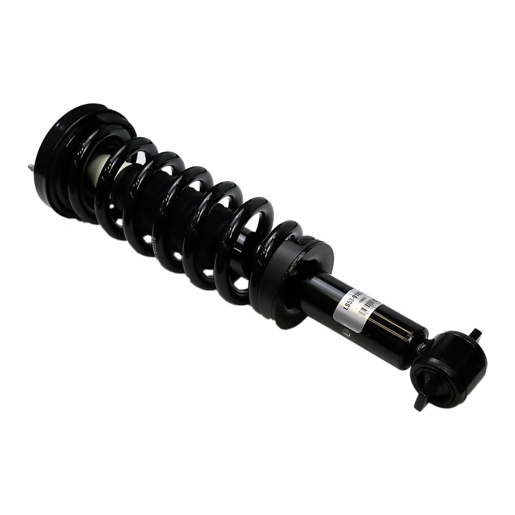 Loaded Strut Assembly LS53-91051L