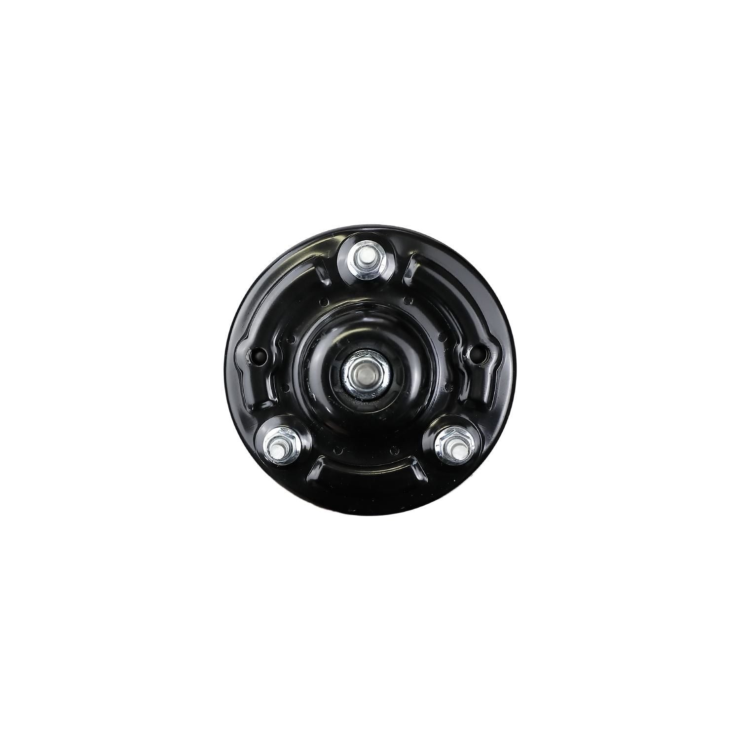 Loaded Strut Assembly LS53-91051R
