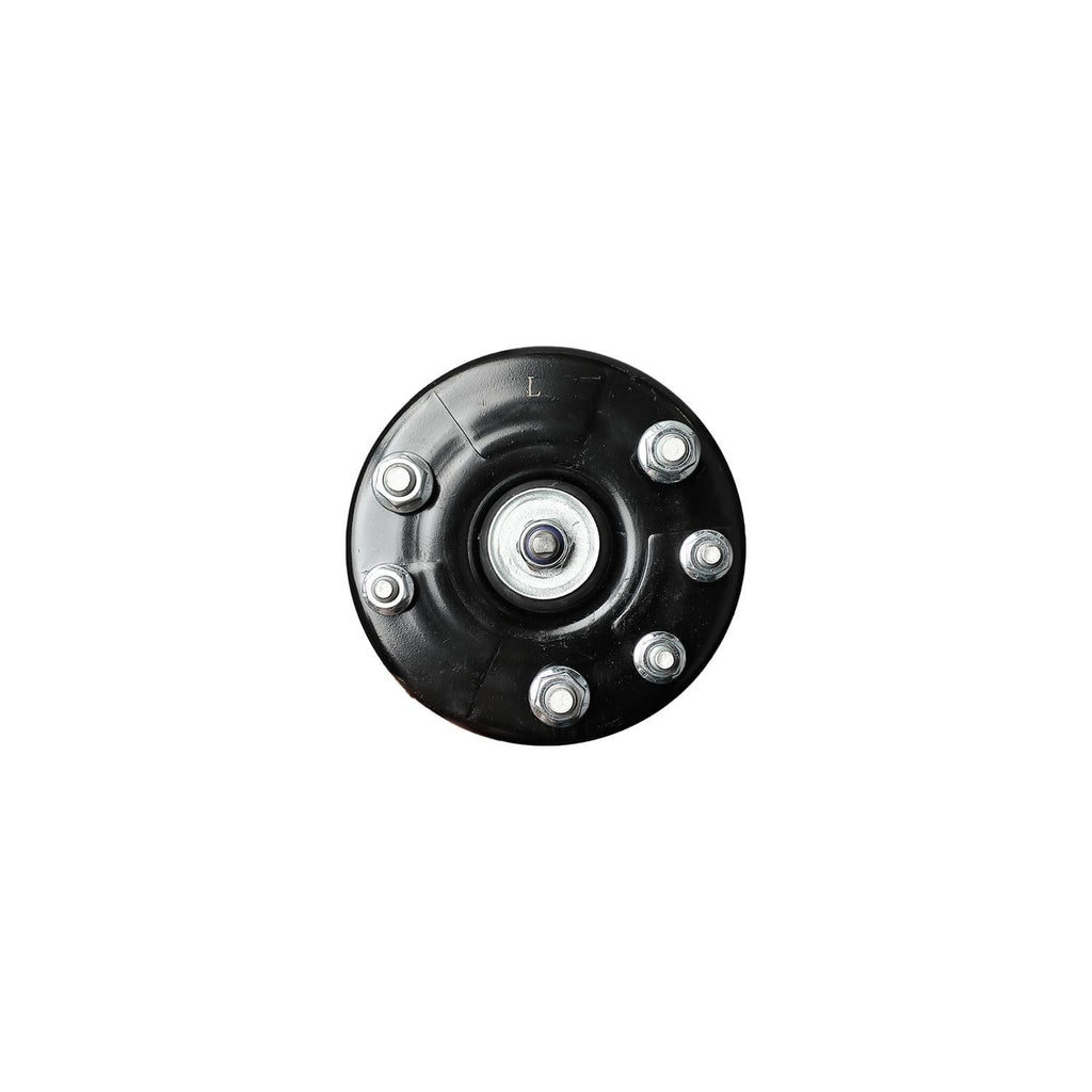 Suspension Strut and Coil Spring Assembly LS53-91081L