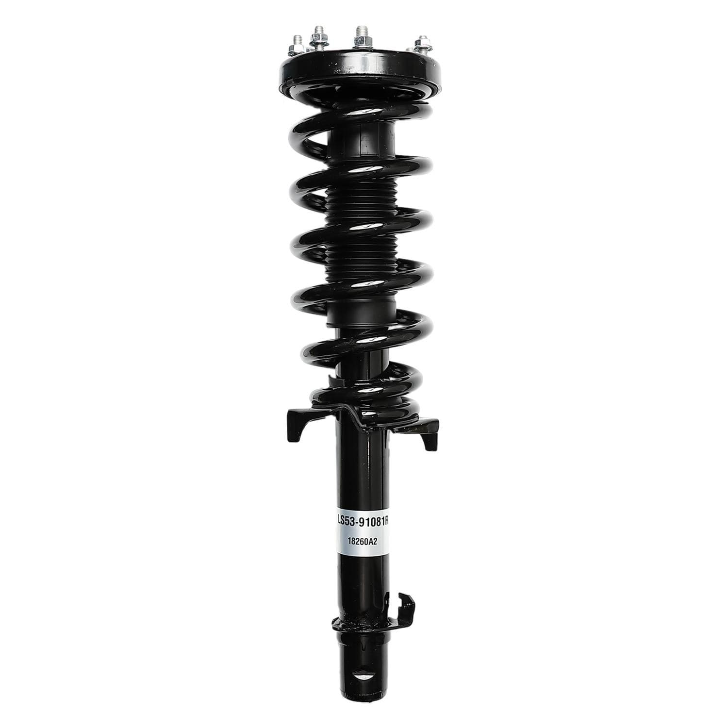 Suspension Strut and Coil Spring Assembly LS53-91081R