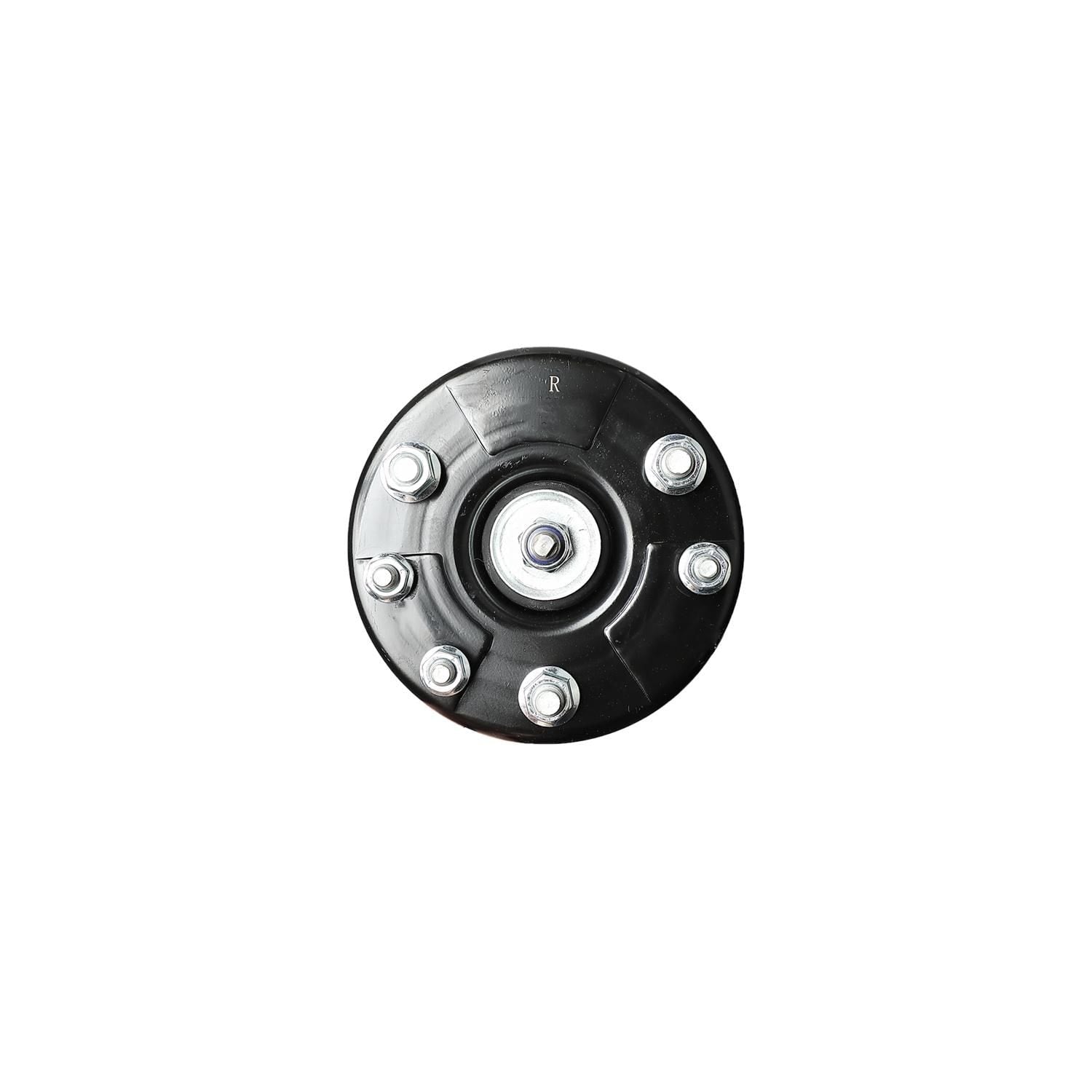 Suspension Strut and Coil Spring Assembly LS53-91081R