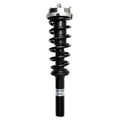 Loaded Strut Assembly LS53-91101B