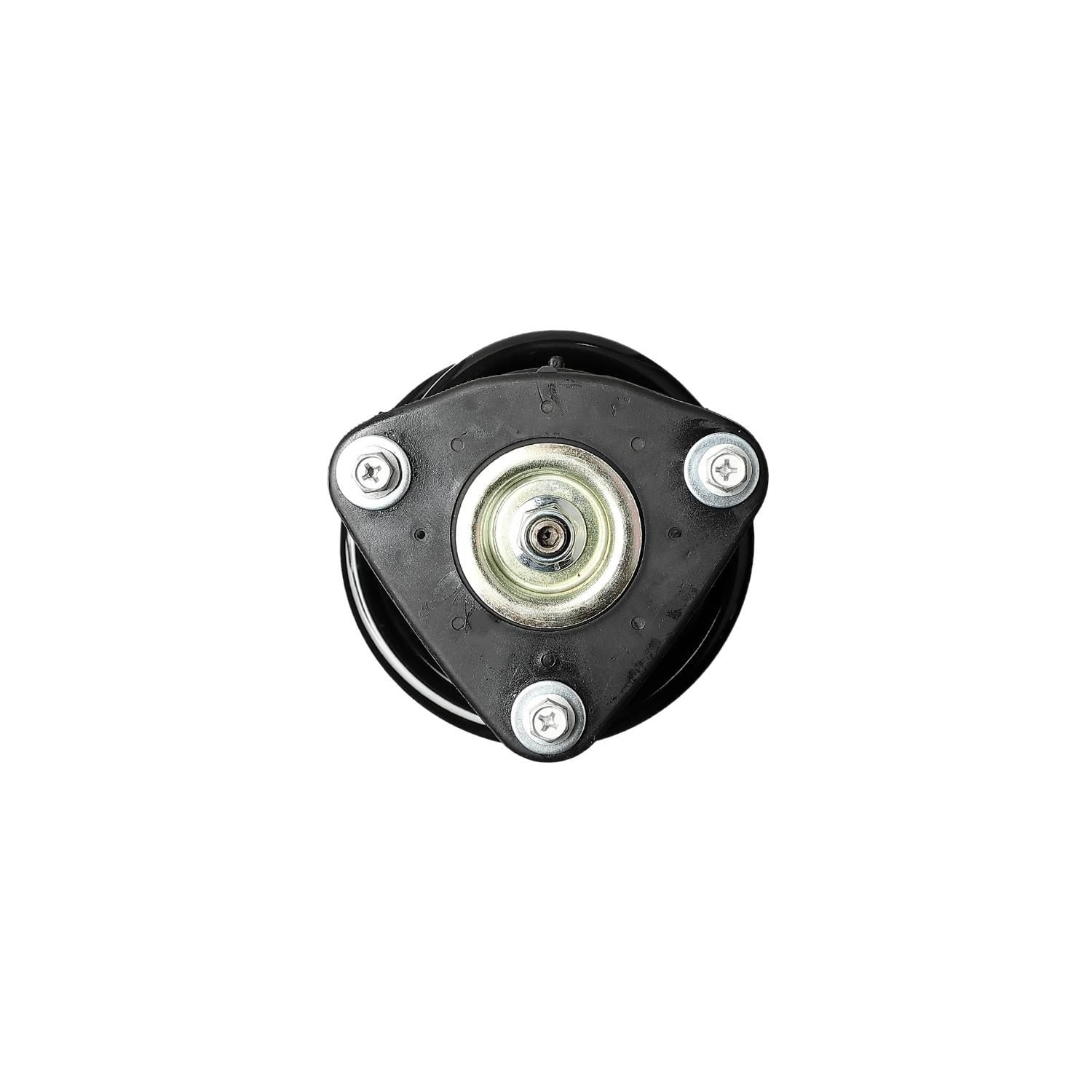 Loaded Strut Assembly LS53-91171R