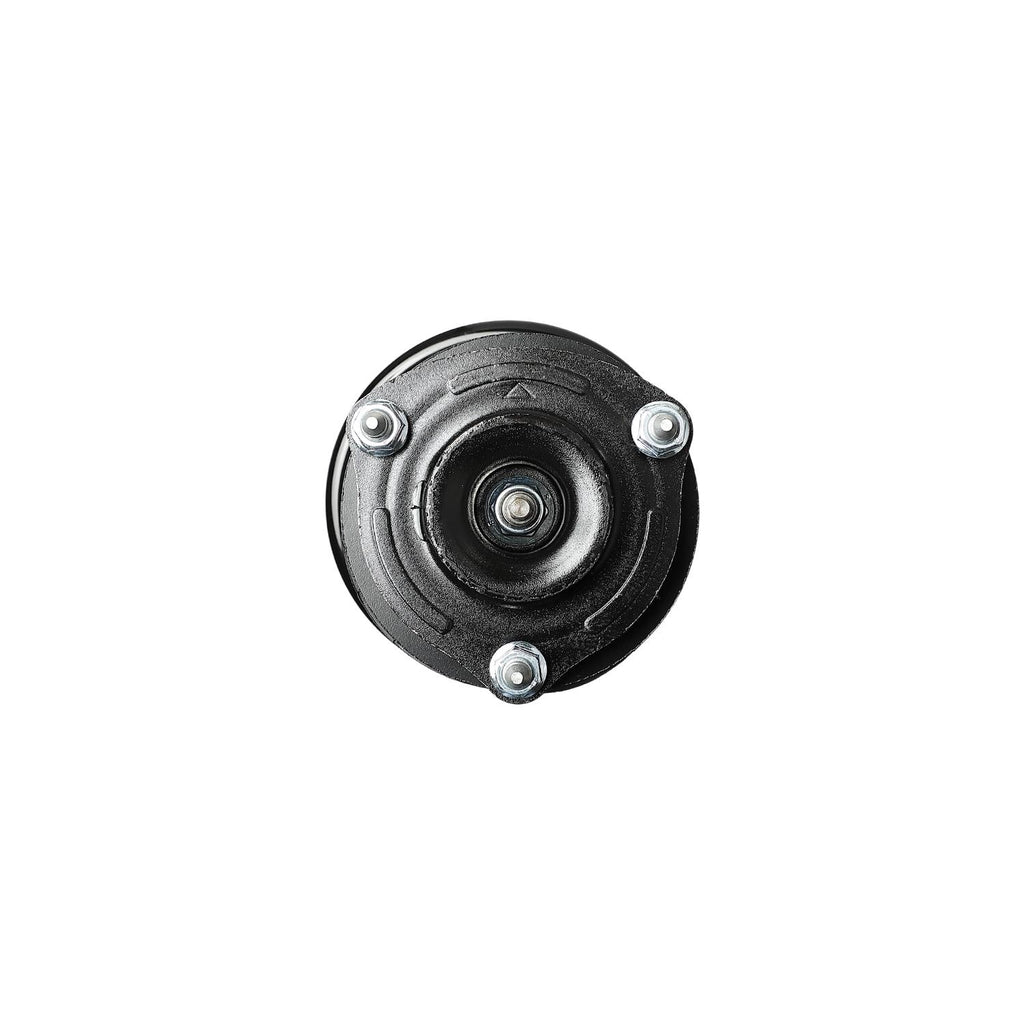 Loaded Strut Assembly LS53-91181L