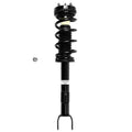 Loaded Strut LS53-91231B